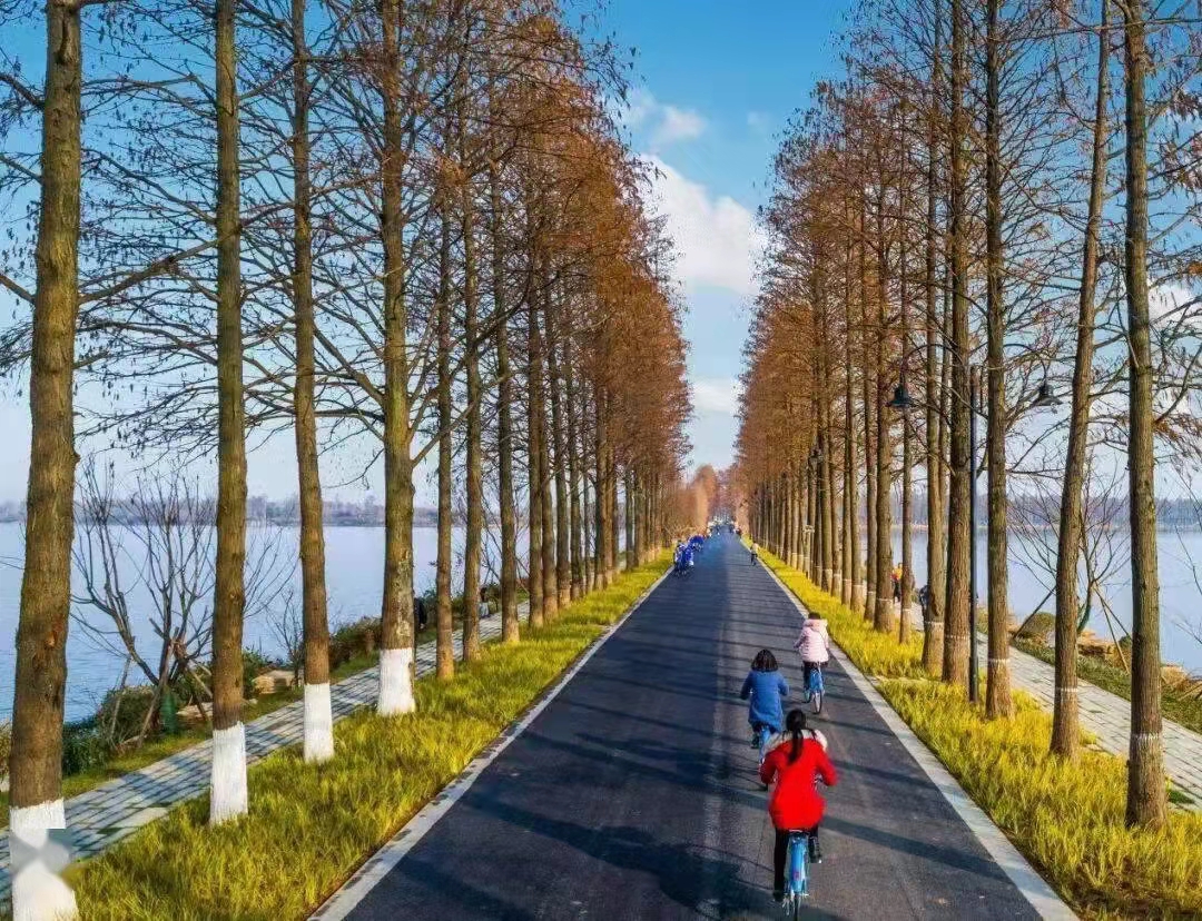 武漢三新職業技術學校